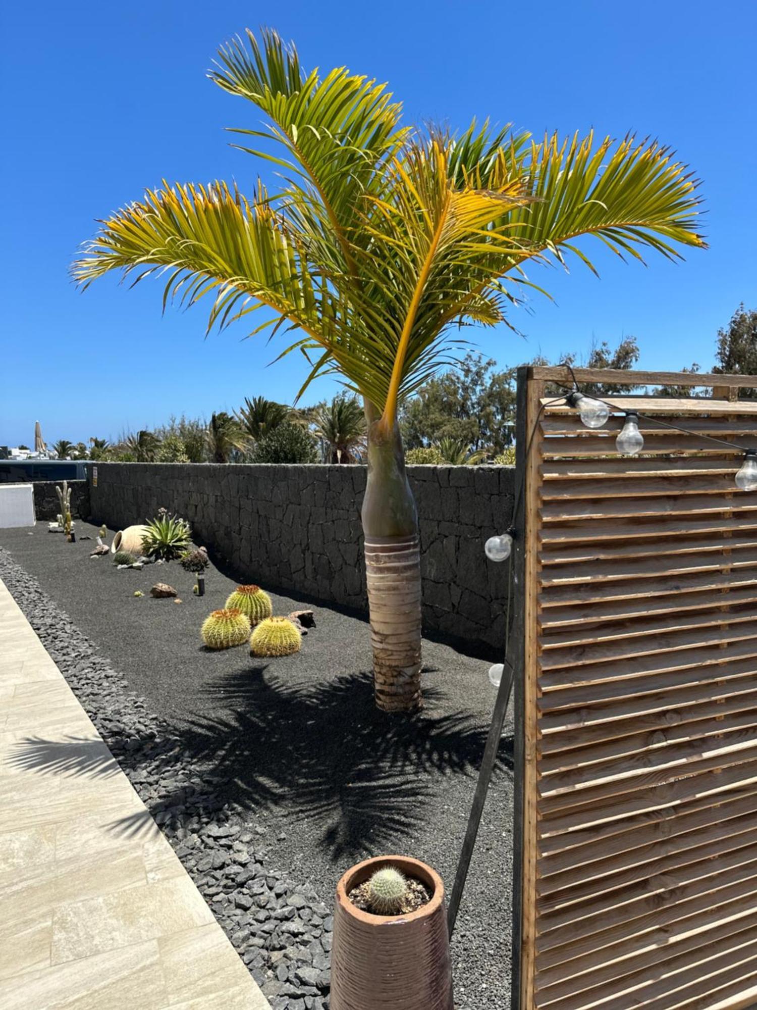 Casa Volcanes Costa Teguise Eksteriør bilde